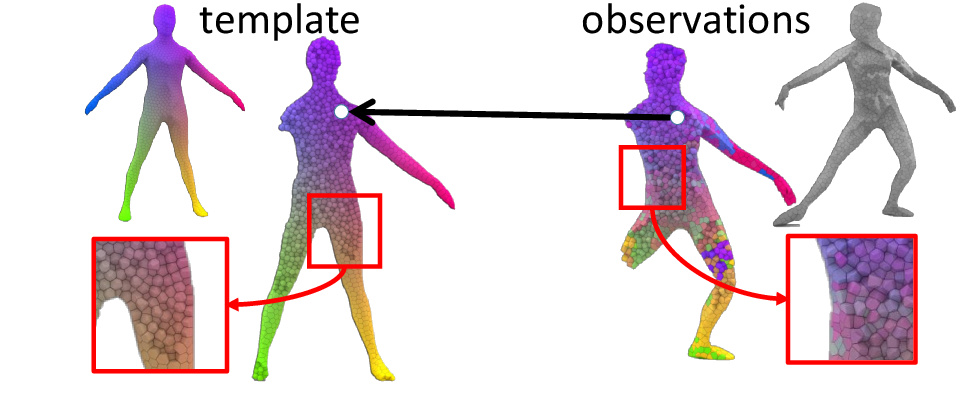 Volumetric correspondences with random forests