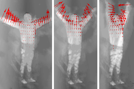 Probabilistic 3D Occupancy Flow with Latent Silhouette Cues